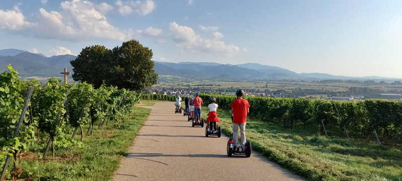 Rund um den Batzenberg Segwaytour Freiburg-Süd